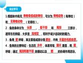 【核心素养目标】人教版初中生物七年级上册2.2.2《脊椎动物—鱼》 课件+视频+教学设计+同步分层练习（含答案）
