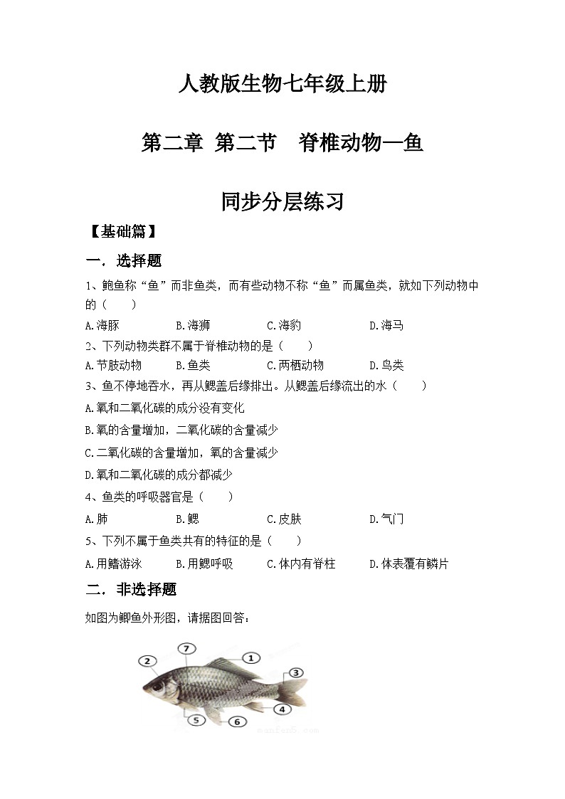 【核心素养目标】人教版初中生物七年级上册2.2.2《脊椎动物—鱼》 课件+视频+教学设计+同步分层练习（含答案）01