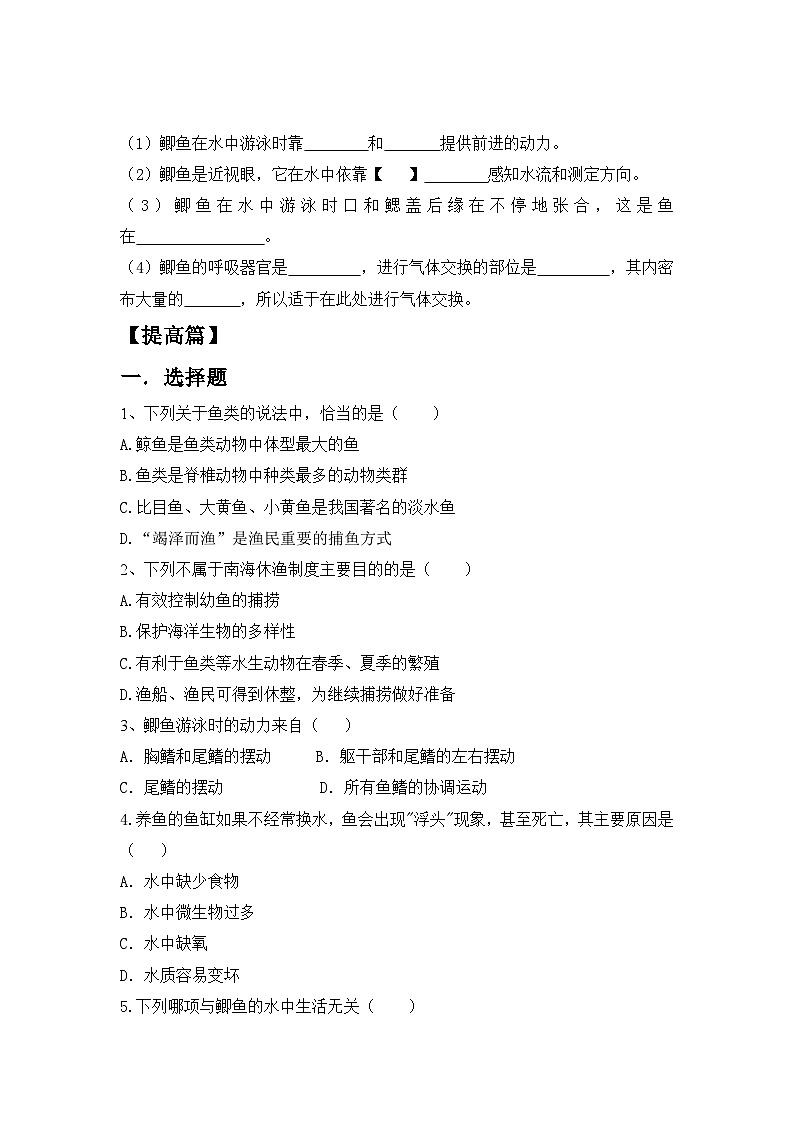 【核心素养目标】人教版初中生物七年级上册2.2.2《脊椎动物—鱼》 课件+视频+教学设计+同步分层练习（含答案）02