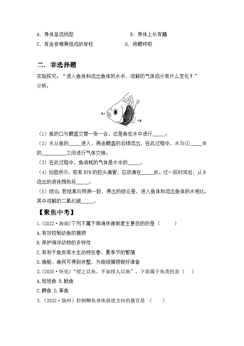 【核心素养目标】人教版初中生物七年级上册2.2.2《脊椎动物—鱼》 课件+视频+教学设计+同步分层练习（含答案）03