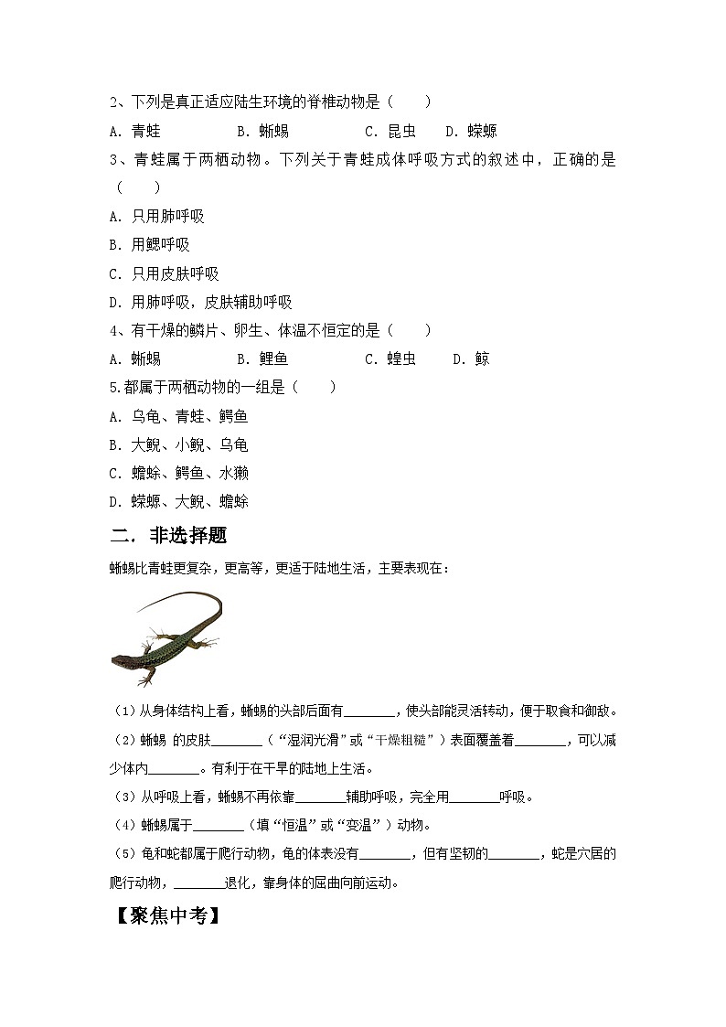 【核心素养目标】人教版初中生物七年级上册2.2.2《脊椎动物—两栖动物和爬行动物》 课件+视频+教学设计+同步分层练习（含答案）03