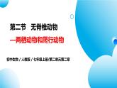 【核心素养目标】人教版初中生物七年级上册2.2.2《脊椎动物—两栖动物和爬行动物》 课件+视频+教学设计+同步分层练习（含答案）