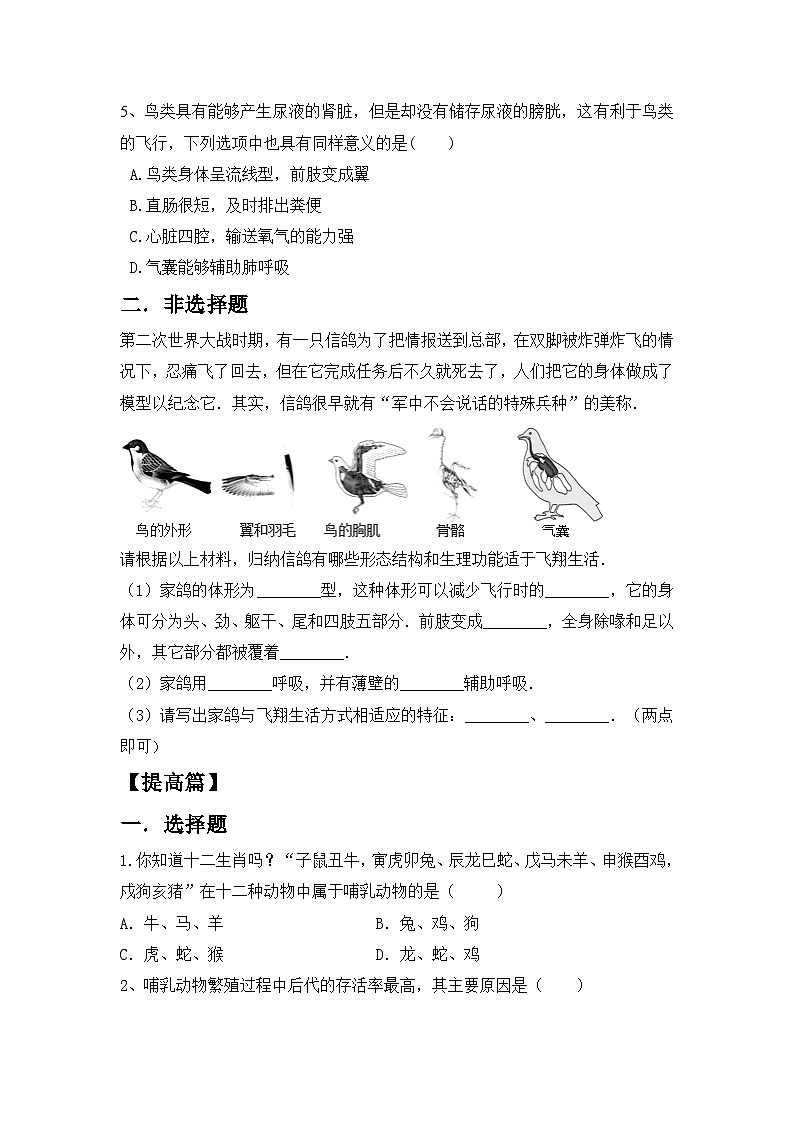 人教版初中生物七年级上册2.2.2《脊椎动物—鸟和哺乳动物》 同步分层练习（含答案）第2页