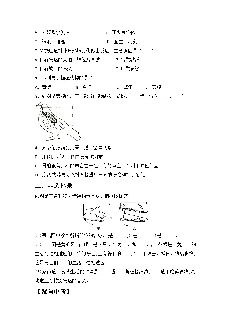 人教版初中生物七年级上册2.2.2《脊椎动物—鸟和哺乳动物》 同步分层练习（含答案）第3页