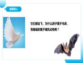 【核心素养目标】人教版初中生物七年级上册2.2.2《脊椎动物—鸟和哺乳动物》 课件+视频+教学设计+同步分层练习（含答案）