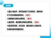 【核心素养目标】人教版初中生物七年级上册2.2.2《脊椎动物—鸟和哺乳动物》 课件+视频+教学设计+同步分层练习（含答案）