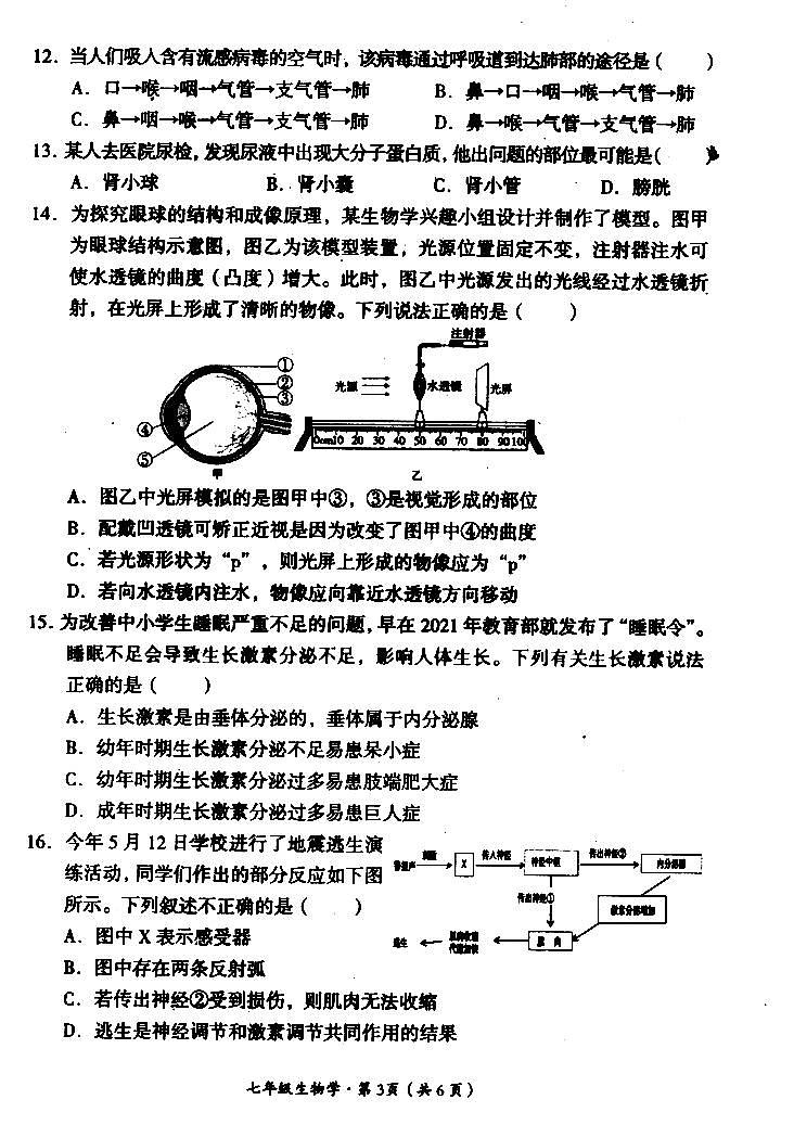 四川省巴中市2023-2024学年七年级下学期期末生物试题02