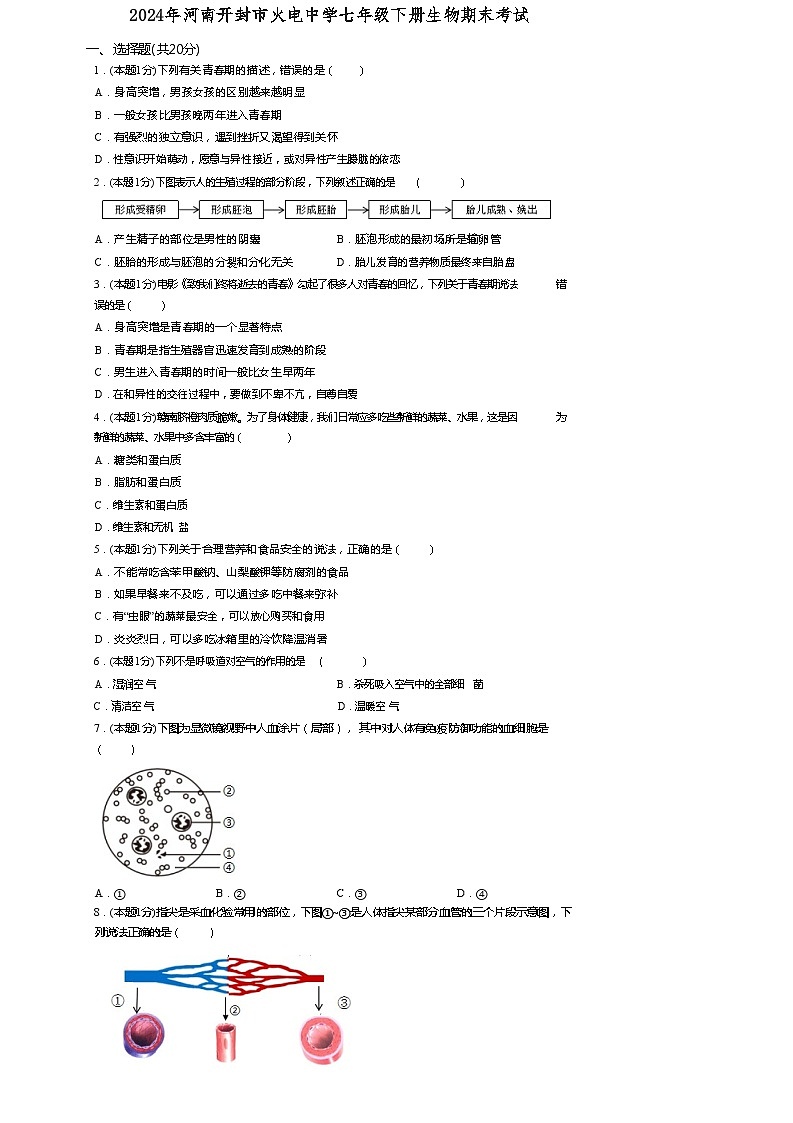 河南省开封市火电中学2023-2024学年七年级下学期7月期末生物试题01
