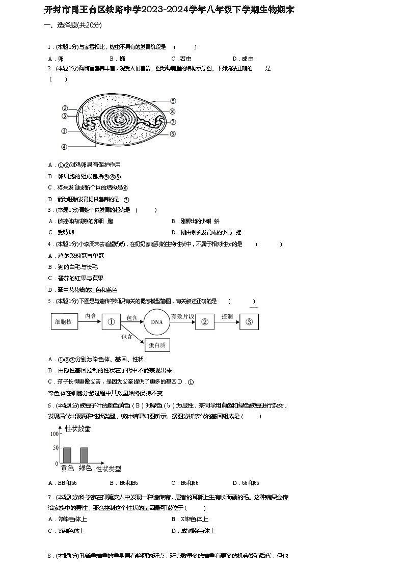 河南省开封市铁路中学2023-2024学年八年级下学期6月期末生物试题01