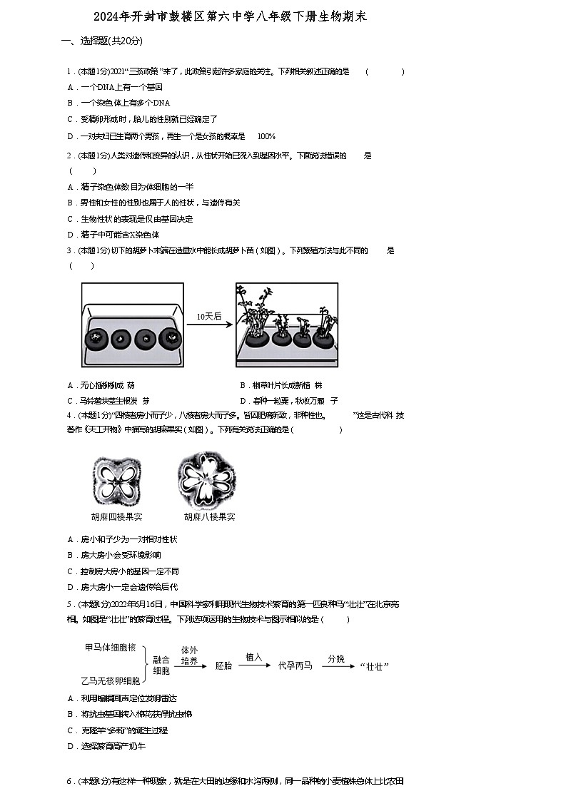 河南省开封市兴华中学2023-2024学年八年级下学期6月期末生物试题第1页