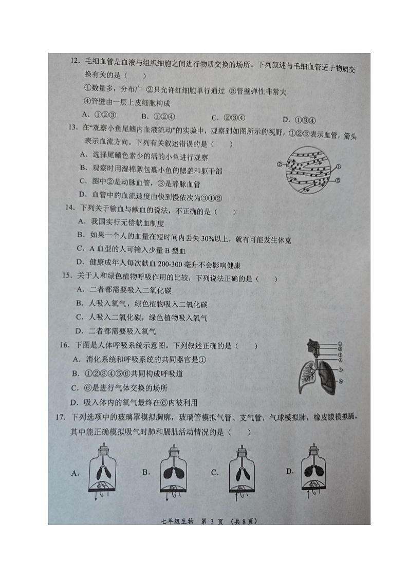 四川省成都市青白江区2023-2024学年七年级下学期期末考试生物试题第3页