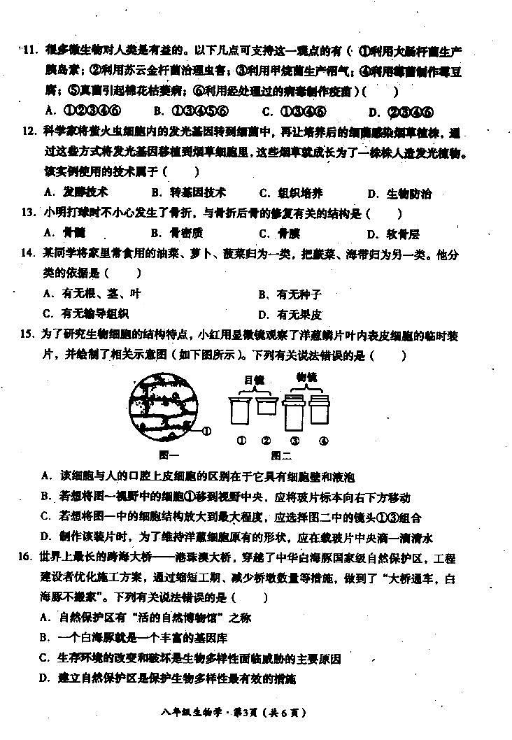 2024年四川省巴中市八年级中考真题结业考试生物试题02
