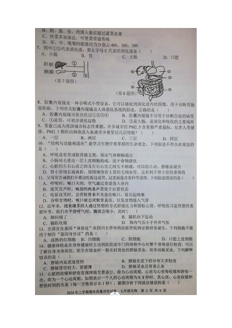 湖南省邵东市2023--2024学年七年级下学期生物期末统考试卷第2页