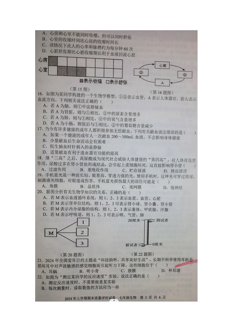 湖南省邵东市2023--2024学年七年级下学期生物期末统考试卷第3页