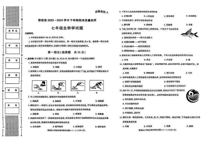 陕西省渭南市蒲城县2023-2024学年七年级下学期期末考试生物试题01
