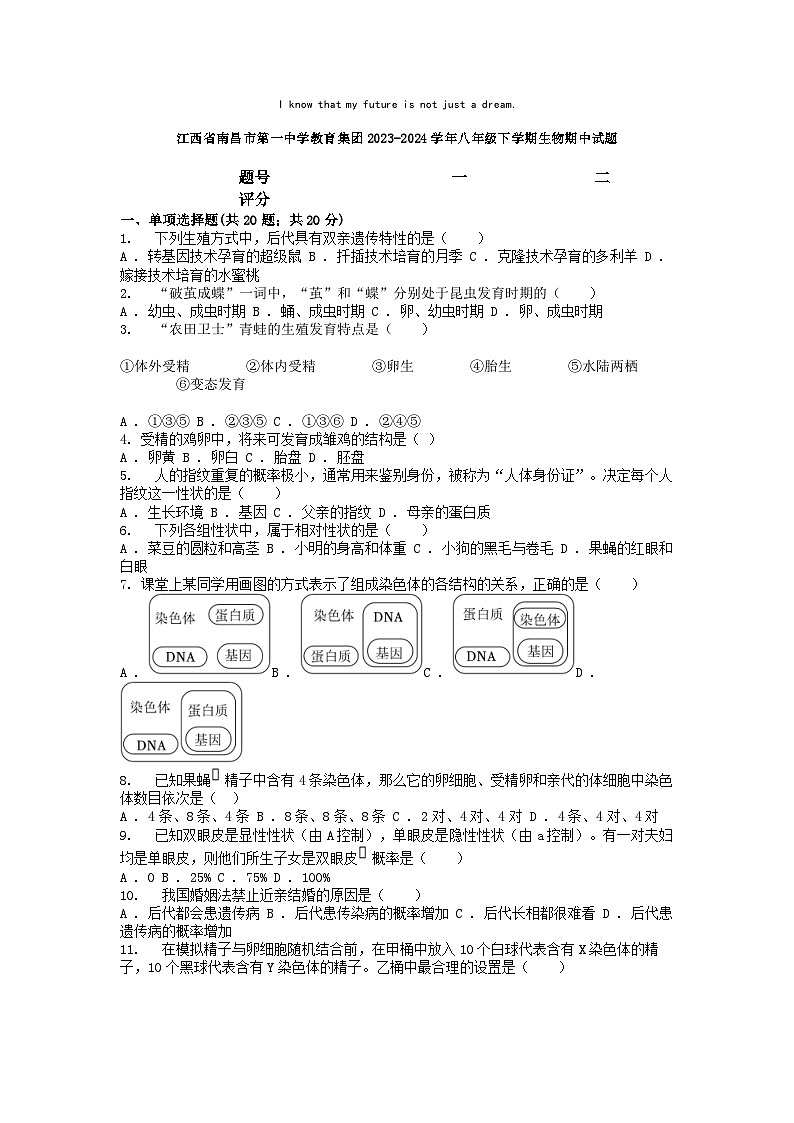 [生物][期中]江西省南昌市第一中学教育集团2023-2024学年八年级下学期生物期中试题01