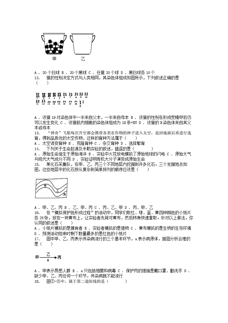 [生物][期中]江西省南昌市第一中学教育集团2023-2024学年八年级下学期生物期中试题02