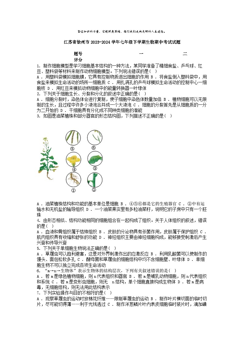 [生物][期中]江苏省徐州市2023-2024学年七年级下学期生物期中考试试题01