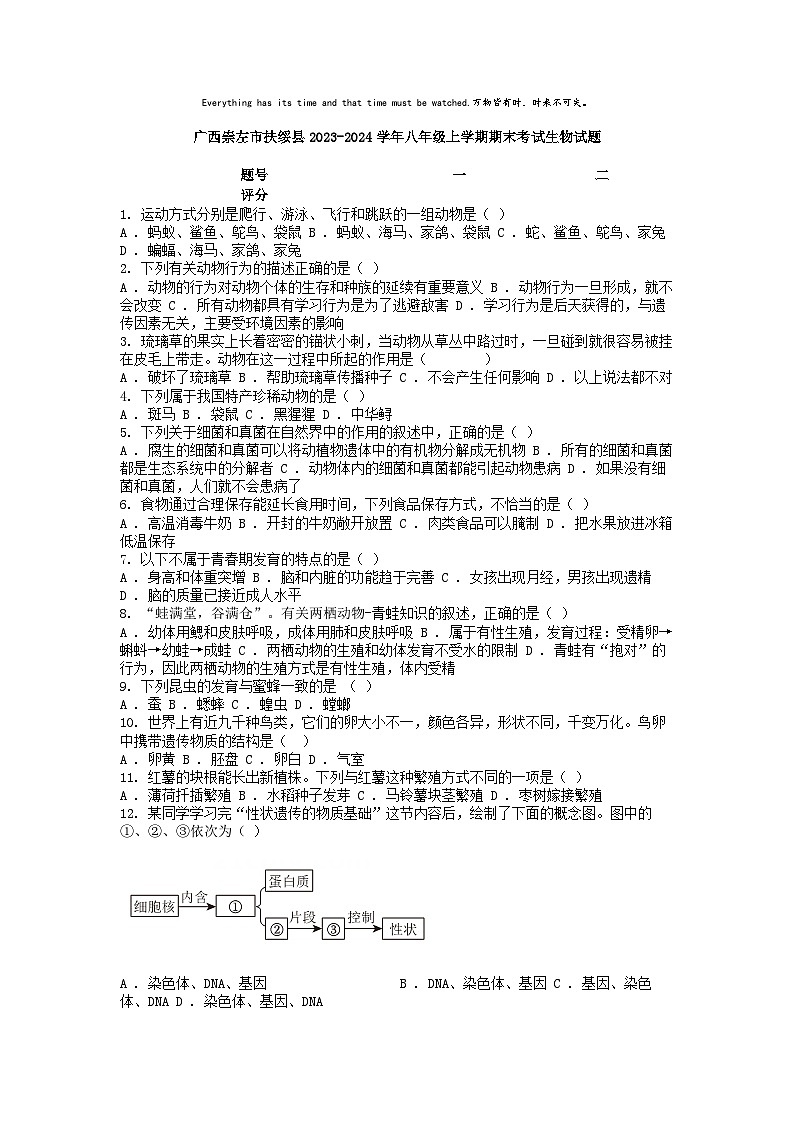 [生物][期末]广西崇左市扶绥县2023-2024学年八年级上学期期末考试生物试题第1页