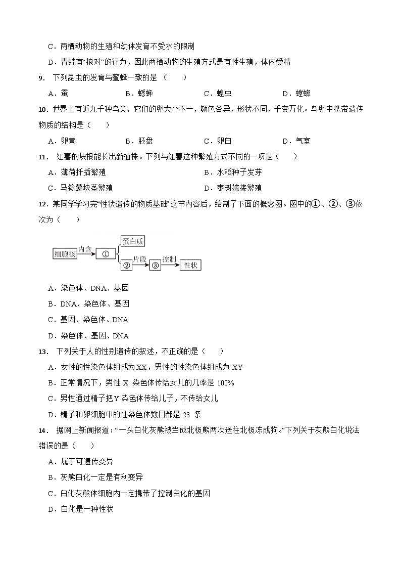 广西崇左市扶绥县2023-2024学年八年级上学期期末考试生物试题+02