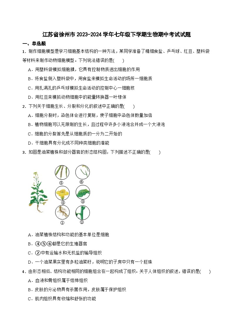 江苏省徐州市2023-2024学年七年级下学期生物期中考试试题+第1页