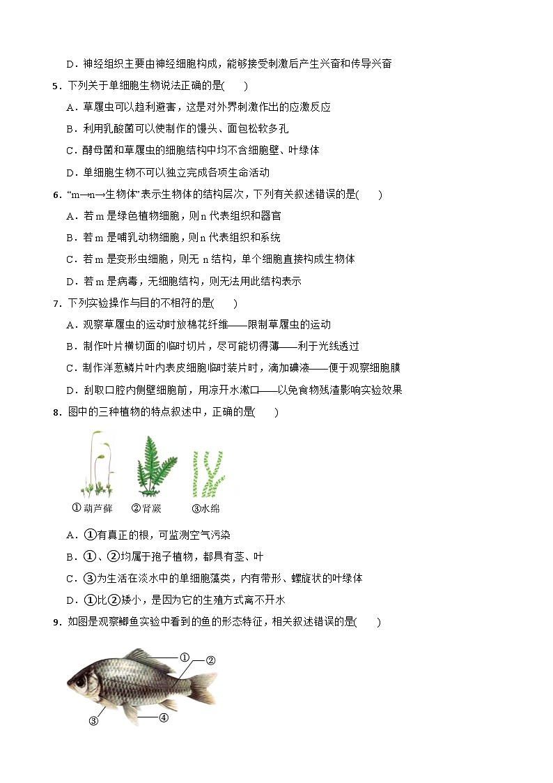 江苏省徐州市2023-2024学年七年级下学期生物期中考试试题+第2页