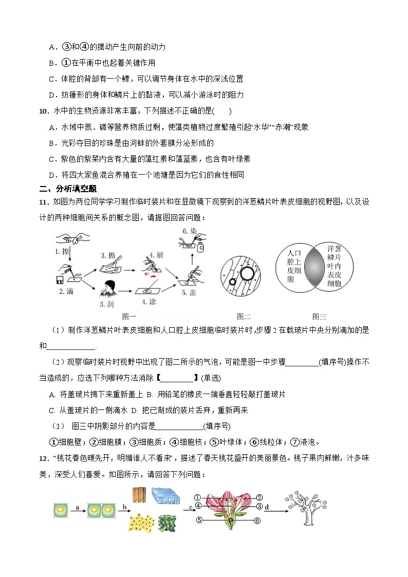 江苏省徐州市2023-2024学年七年级下学期生物期中考试试题+第3页