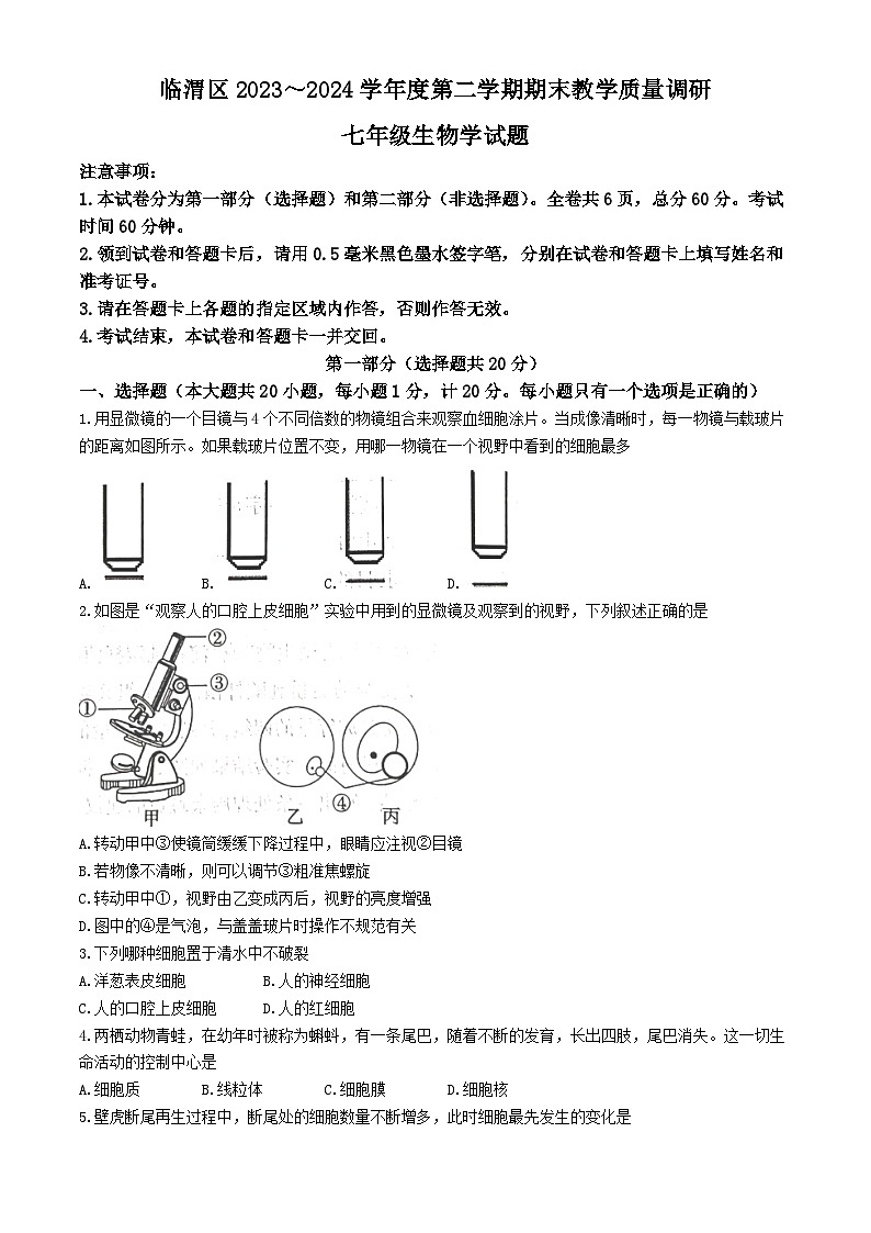 陕西省渭南市临渭区2023-2024学年七年级下学期期末教学质量调研生物试卷第1页