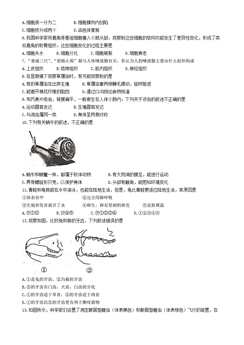 陕西省渭南市临渭区2023-2024学年七年级下学期期末教学质量调研生物试卷第2页
