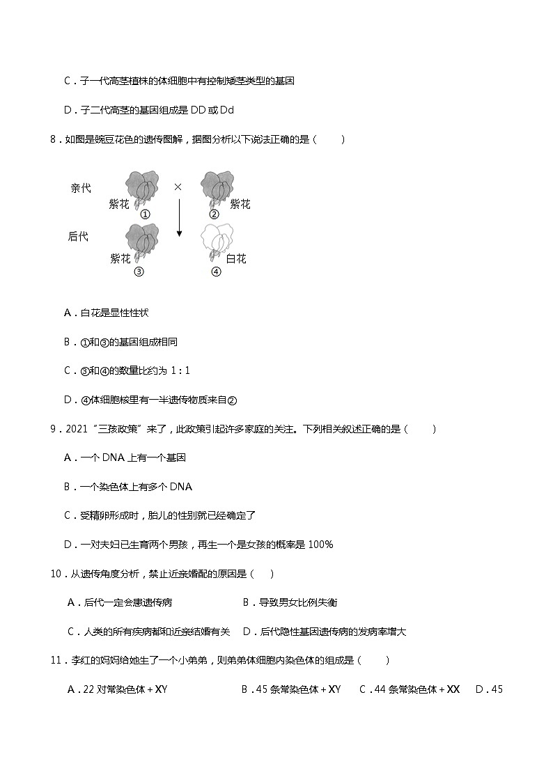 苏科版生物八年级下册  第22章生物的遗传与变异（章末测试）03