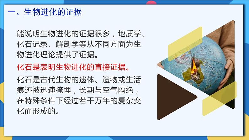 苏科版生物八年级下册   23.2  生物进化的历程  课件第5页