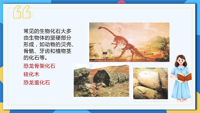 苏科版生物八年级下册   23.2  生物进化的历程  课件第6页