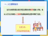 苏科版生物八年级下册   23.3  生物进化的原因 课件