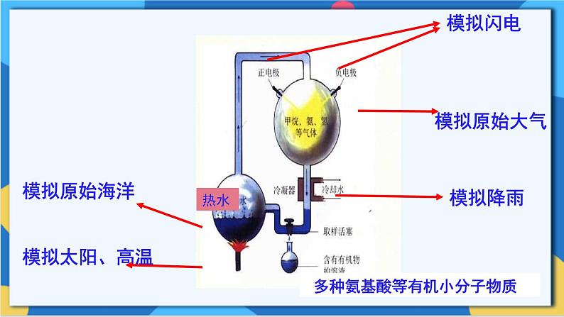 苏科版生物八年级下册 第23章  生物的进化（章节复习课件）06