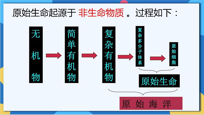 苏科版生物八年级下册 第23章  生物的进化（章节复习课件）07