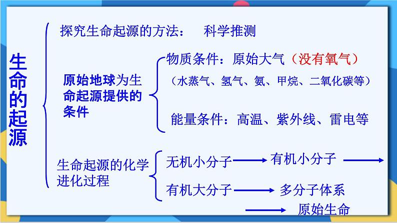 苏科版生物八年级下册 第23章  生物的进化（章节复习课件）08