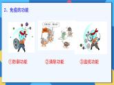 苏科版生物八年级下册  24.1  人体的免疫防线（第2课时）  课件