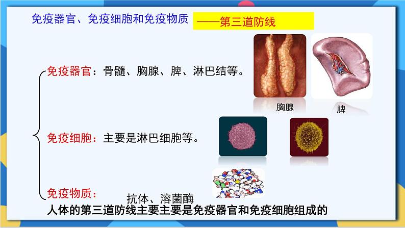 苏科版生物八年级下册   第24章  人体对疾病的抵御（章节复习课件）07