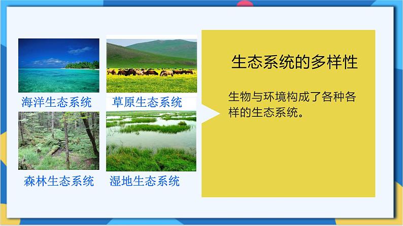 苏科版生物八年级下册  26.2  保护生物多样性 课件第7页