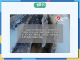 苏科版生物八年级下册  26.3 自然资源的可持续利用  课件