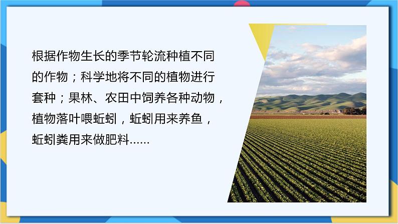 苏科版生物八年级下册 26.4 建设生态家园  课件06