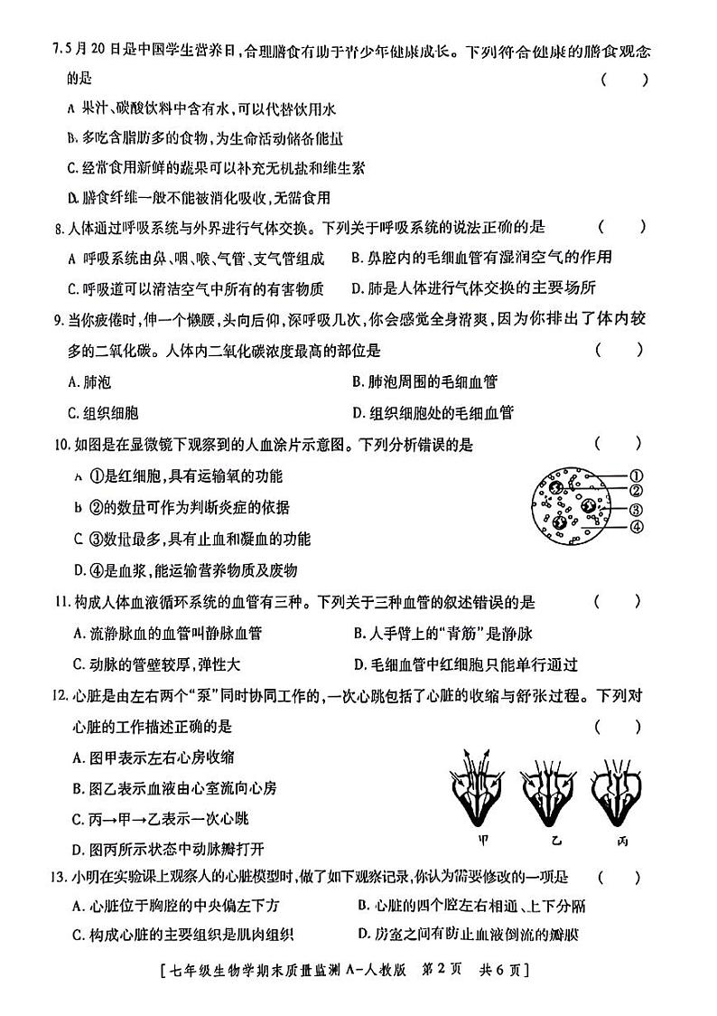陕西省西安市未央区经开区2023-2024七年级下学期6月期末生物试题第2页