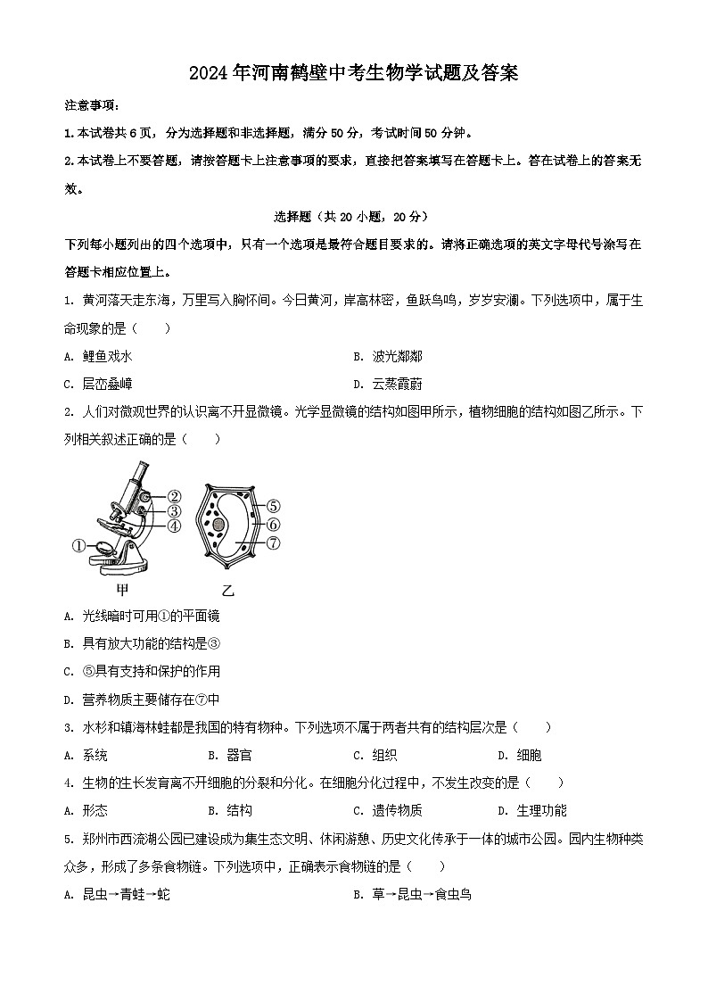 2024年河南鹤壁中考真题生物试题及答案第1页