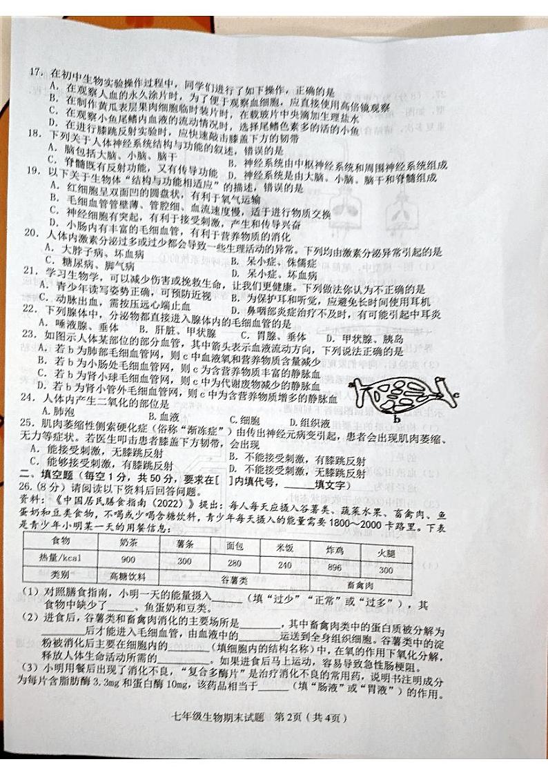 江西省赣州市章贡区2023-2024学年七年级下学期期末考试生物试题02