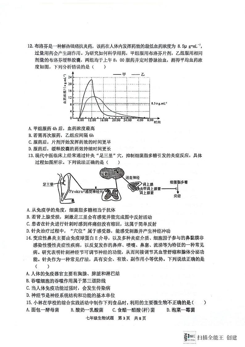 山东省泰安市宁阳县2023-2024学年七年级下学期期末考试生物试题03