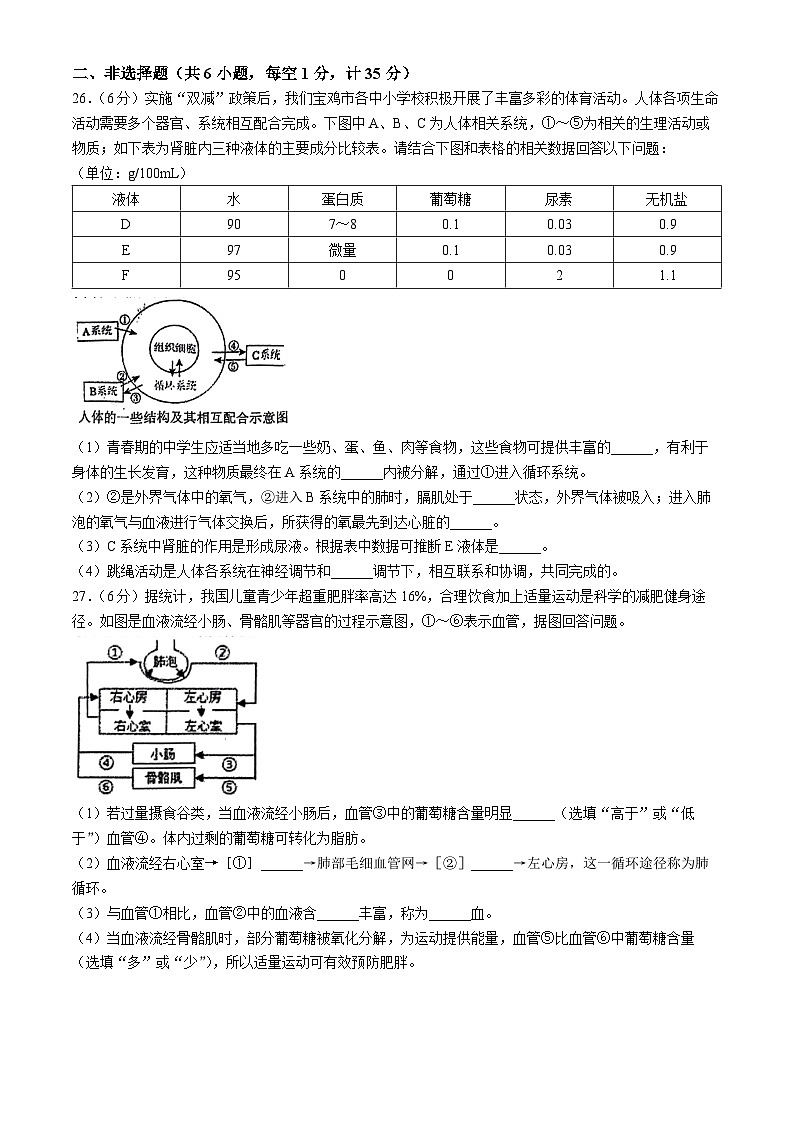 陕西省宝鸡市金台区2023-2024学年七年级下学期期末考试生物试题第3页
