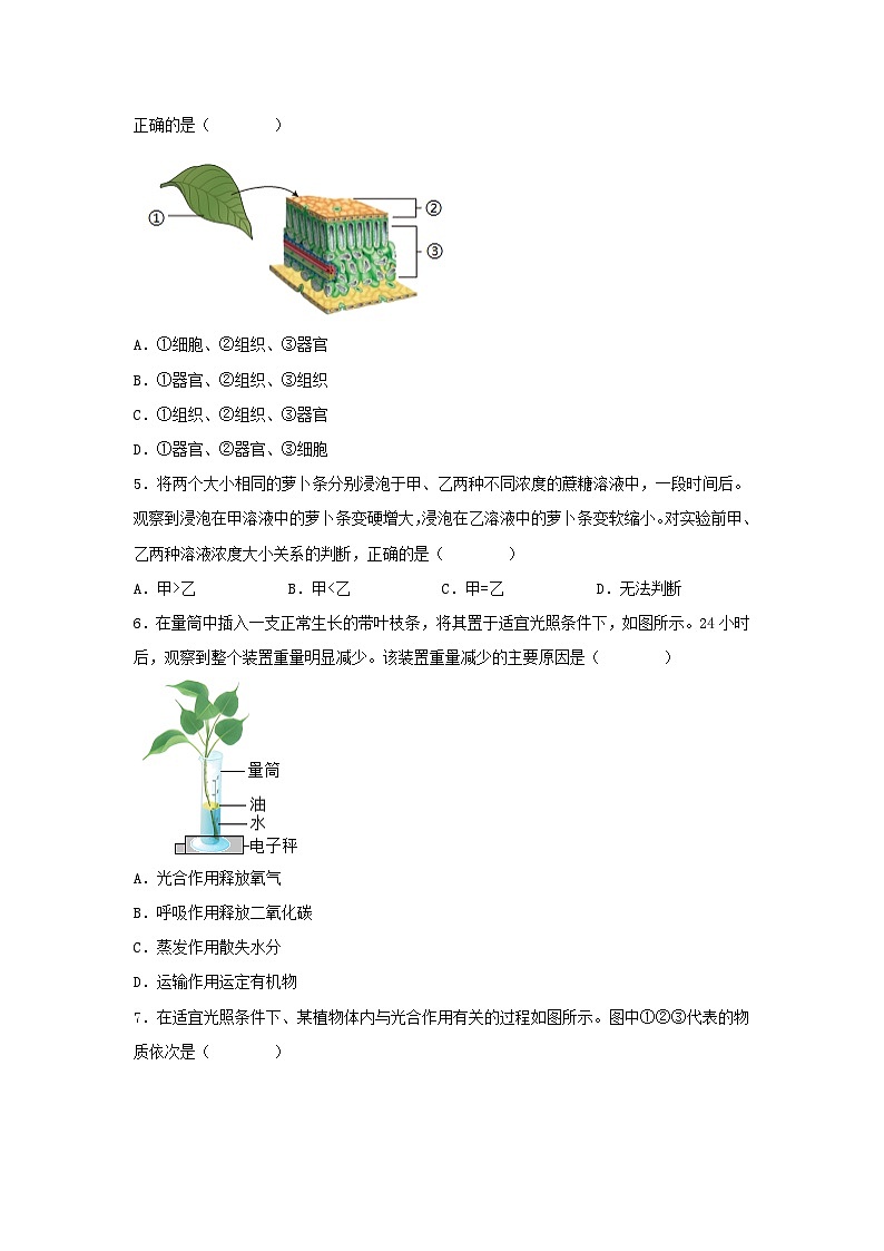2024年四川成都中考生物试题及答案02