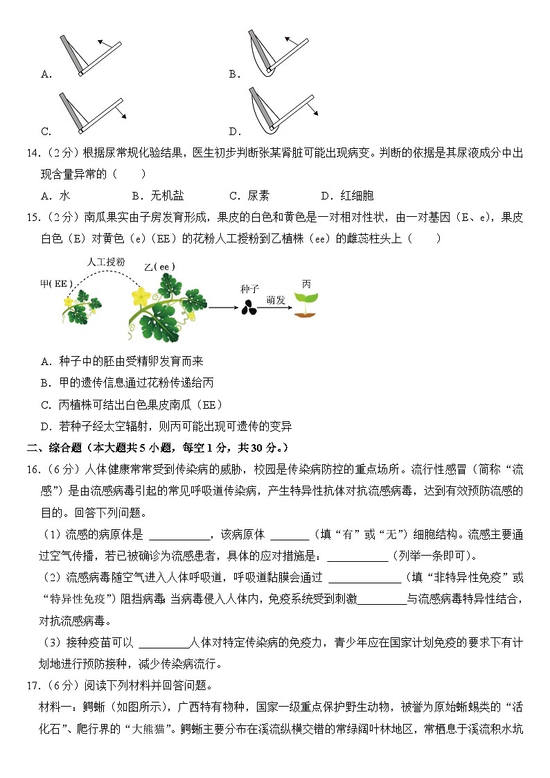2024年广西中考生物试卷附答案第3页