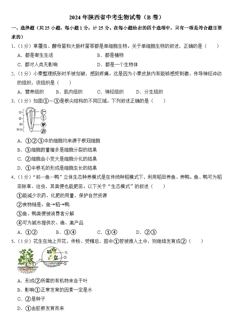 2024年陕西省中考生物试卷（B卷）附答案第1页