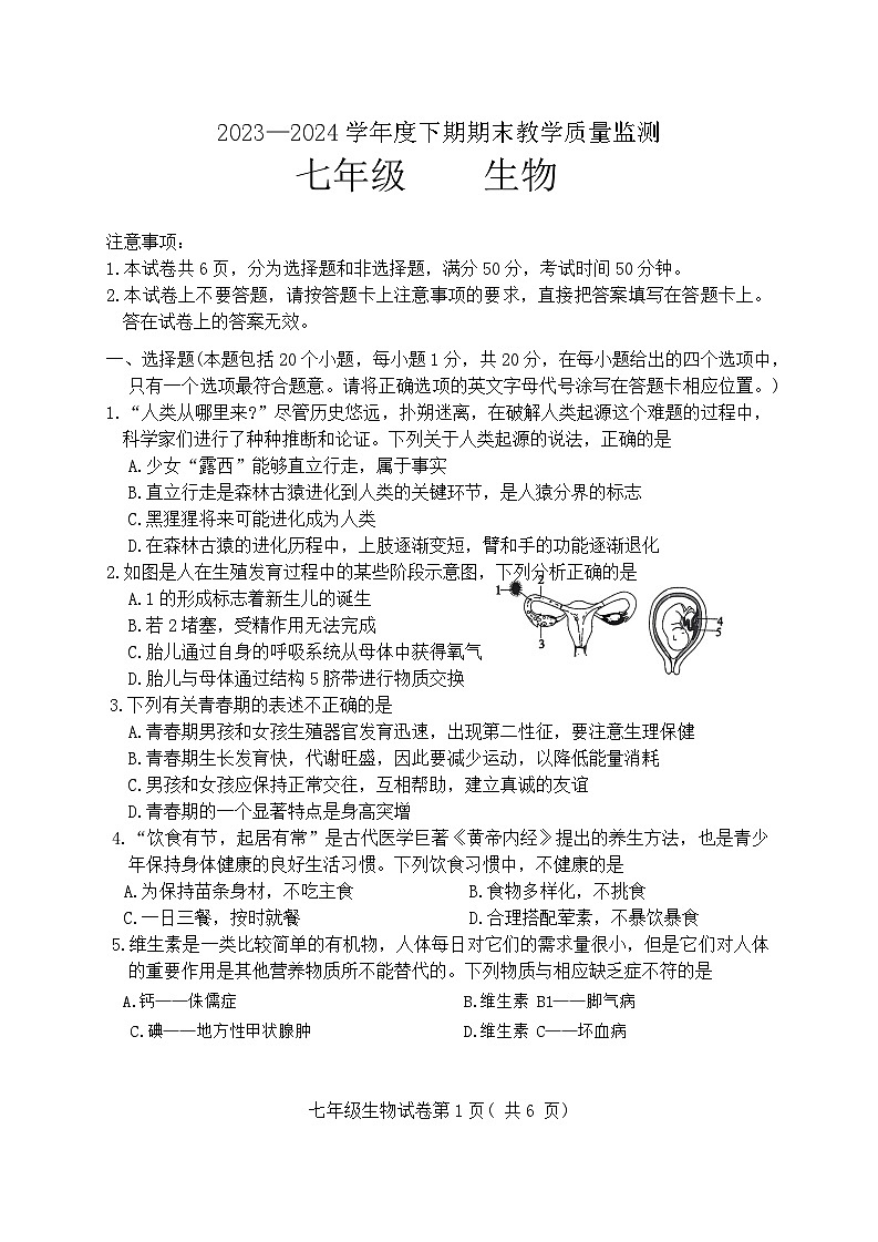 河南省商城县李集中学2023-2024学年七年级下学期期末生物试题第1页